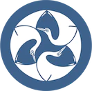 Isatis indigotica (isatis) dry root tincture