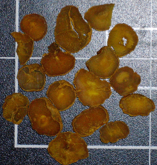 Corydalis yanhusuo (Corydalis yanhusuo) dry rhizome traditionally treated with vinegar tinctured decoction