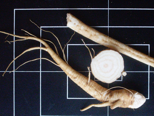 Phytolacca americana (poke) fresh root tincture