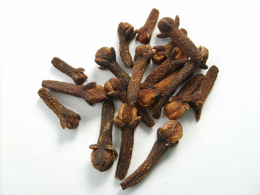 Syzygium aromaticum (clove) dry bud tincture