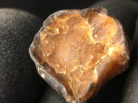 Propolis (propolis) dry resin tincture