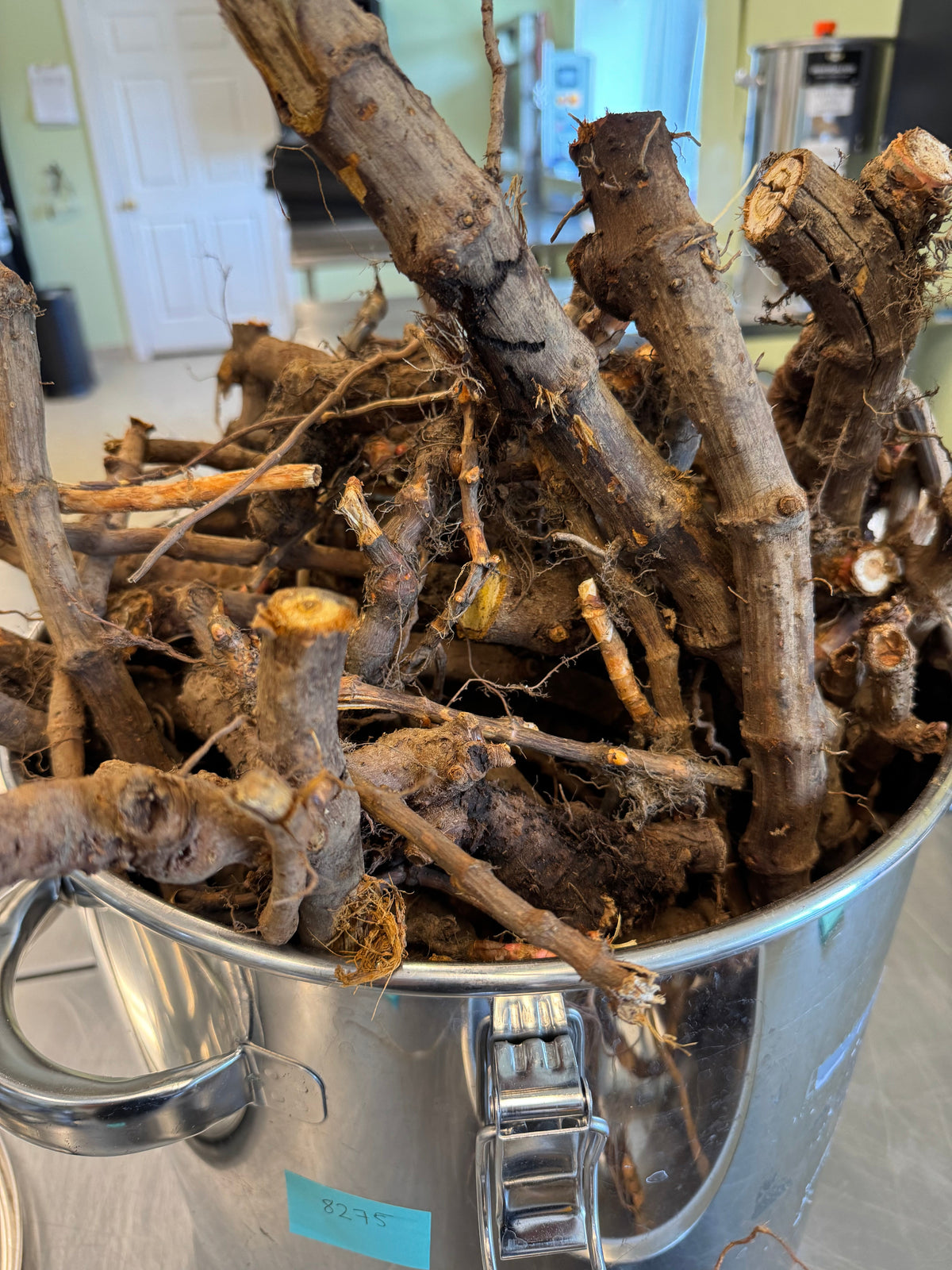 Sustainable Alternatives to at Risk Herbs