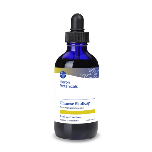 Scutellaria baicalensis (Chinese skullcap) fresh root tincture