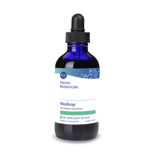 Scutellaria lateriflora (skullcap) fresh aerial parts tincture