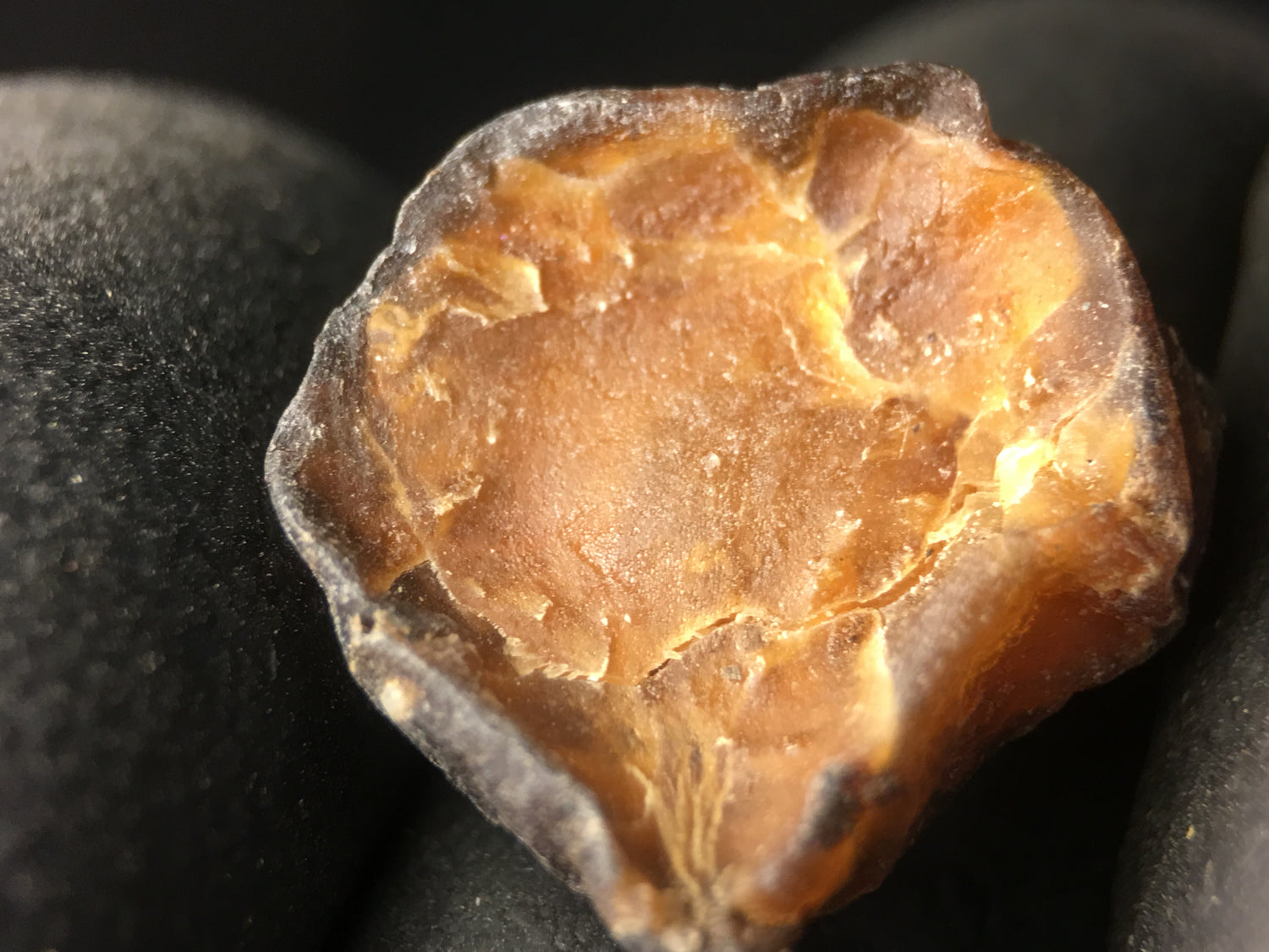 Propolis (propolis) dry resin tincture
